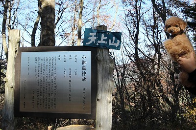 河口湖旅行① 天上山公園カチカチ山ロープウェイ～もみじの回廊_e0227996_1171067.jpg