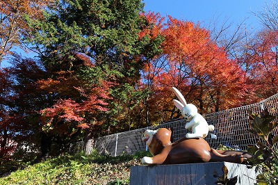 河口湖旅行① 天上山公園カチカチ山ロープウェイ～もみじの回廊_e0227996_174445.jpg