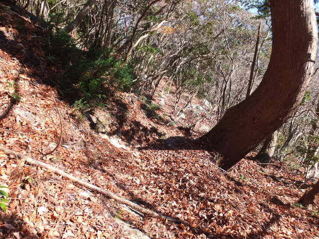 a0271502_17473538.jpg