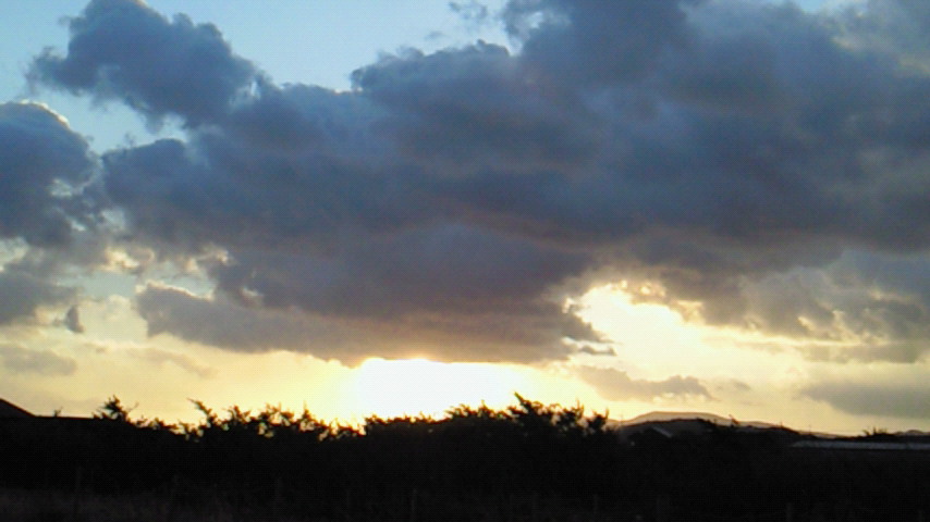 d0149105_7485219.jpg