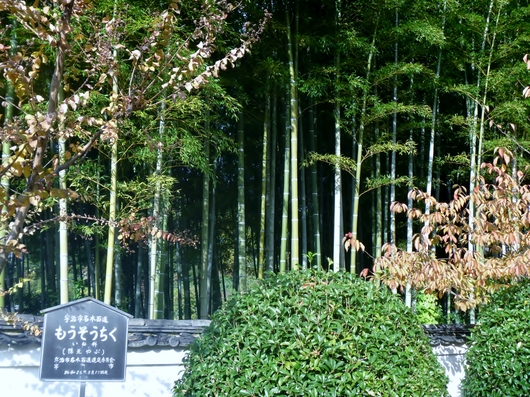 a0298406_19595026.jpg
