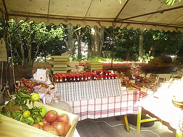d0154707_7564497.jpg