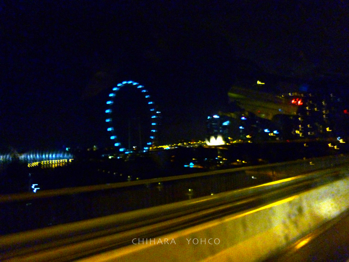 シンガポール滞在記 〈1〉_b0025511_17170821.jpg