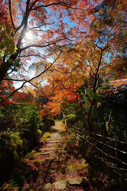 2013京都の紅葉!・金蔵寺　其の二_f0032011_19461715.jpg