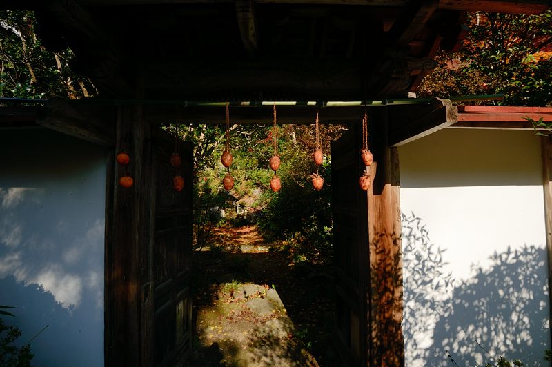 2013京都の紅葉!・金蔵寺　其の二_f0032011_19471246.jpg