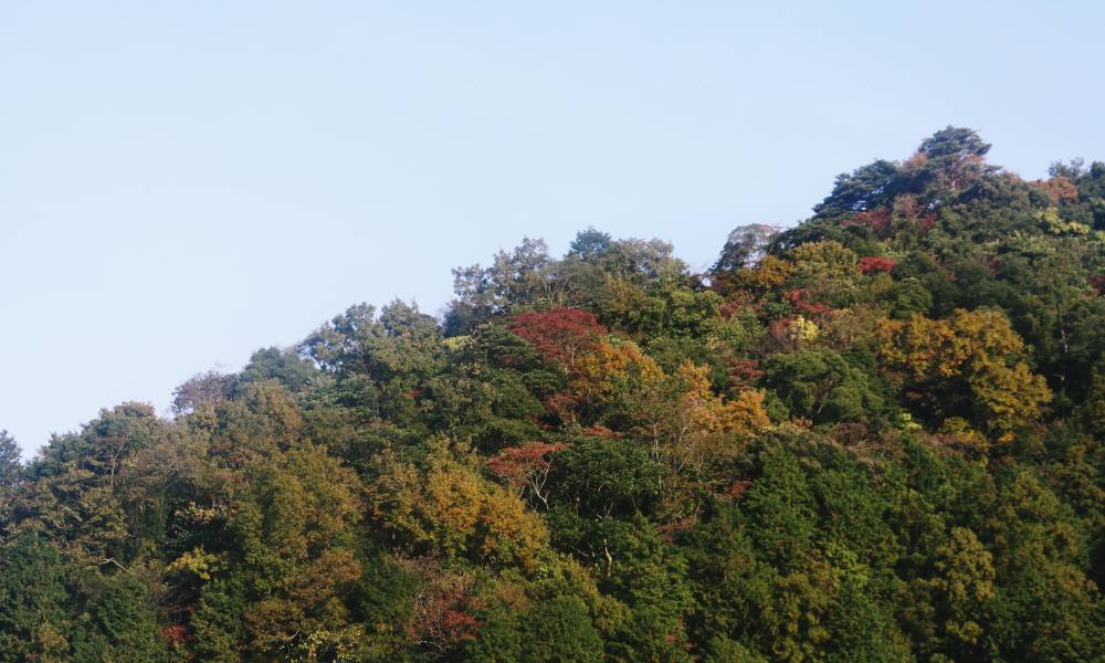 f0212511_23381578.jpg