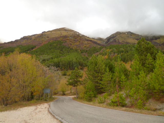 f0315911_034664.jpg