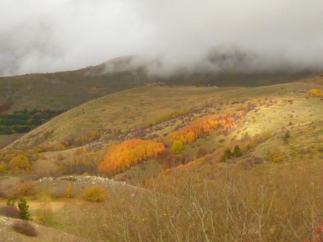 f0315911_0362795.jpg