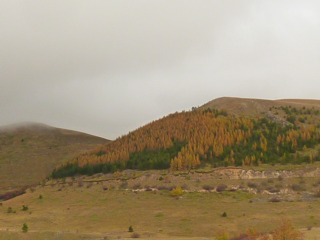 f0315911_312341.jpg