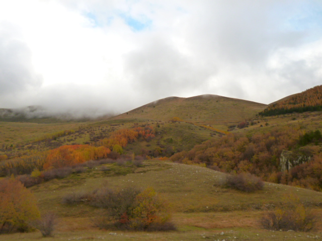 f0315911_315025.jpg