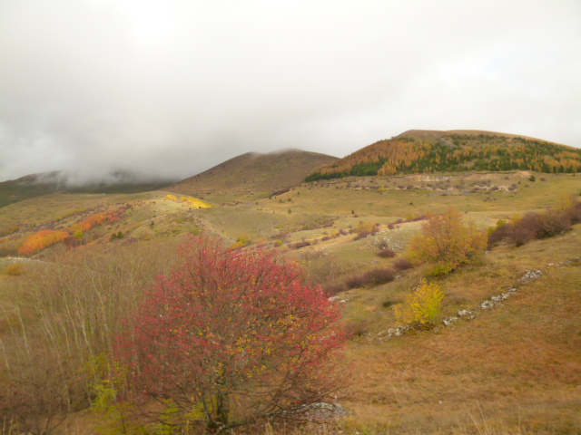 f0315911_3155711.jpg