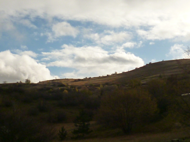 f0315911_3165729.jpg