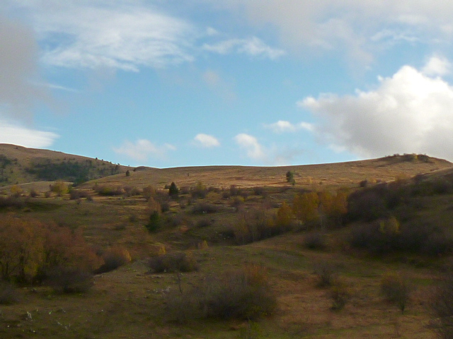 f0315911_317458.jpg