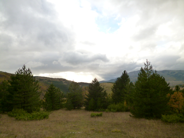 f0315911_3223680.jpg