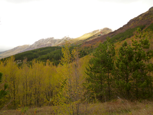 f0315911_3334660.jpg