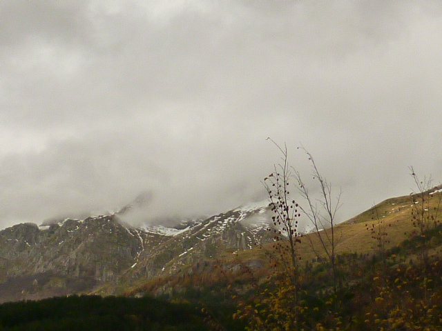 f0315911_3341768.jpg
