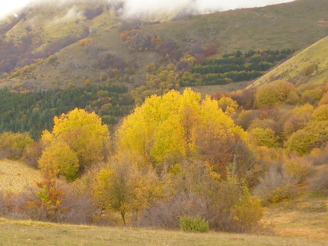 f0315911_363742.jpg