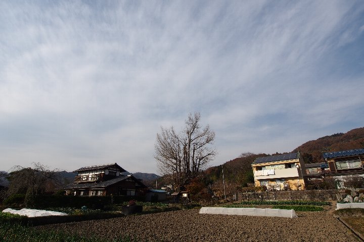 a0268412_2105920.jpg