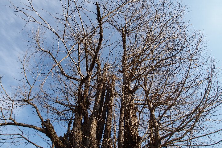 a0268412_211231.jpg