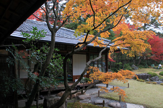無隣庵 13紅葉だより55_e0048413_2223196.jpg