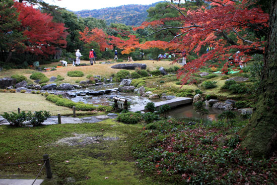 無隣庵 13紅葉だより55_e0048413_2224673.jpg