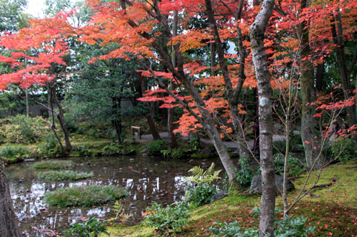 無隣庵 13紅葉だより55_e0048413_2231095.jpg