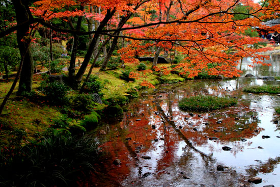 無隣庵 13紅葉だより55_e0048413_2232148.jpg