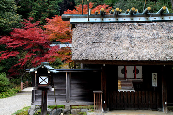 日向大神宮 13紅葉だより56_e0048413_2258547.jpg