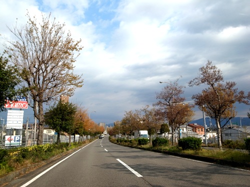 紅葉_f0150413_21365564.jpg