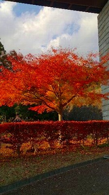 a0049614_9242998.jpg