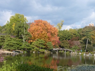a0177314_0132922.jpg