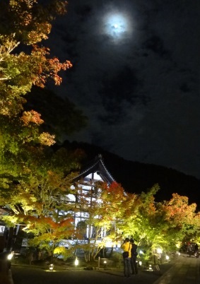 b0010914_01000537.jpg