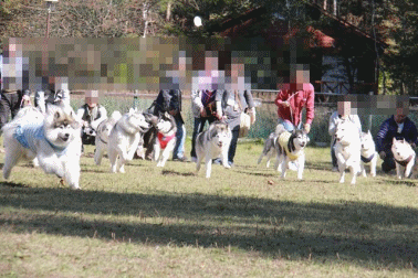 b0207615_23353343.gif