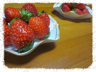 f0248616_8341693.jpg