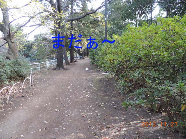 b0203018_17224042.jpg