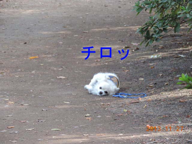 b0203018_17224890.jpg