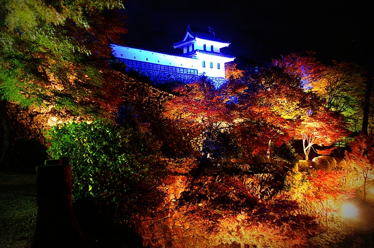 続・夜空の八幡城_e0256122_11551095.jpg