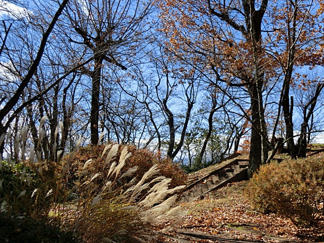 e0234924_10331159.jpg