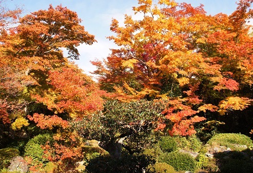 二つの窓と血天井　　～源光庵（京都）～_c0235725_111533.jpg