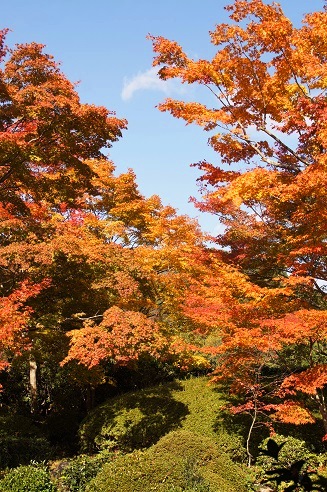 二つの窓と血天井　　～源光庵（京都）～_c0235725_112838.jpg