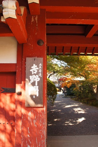 やっぱり洛北　　～常照寺（京都）～_c0235725_21375256.jpg