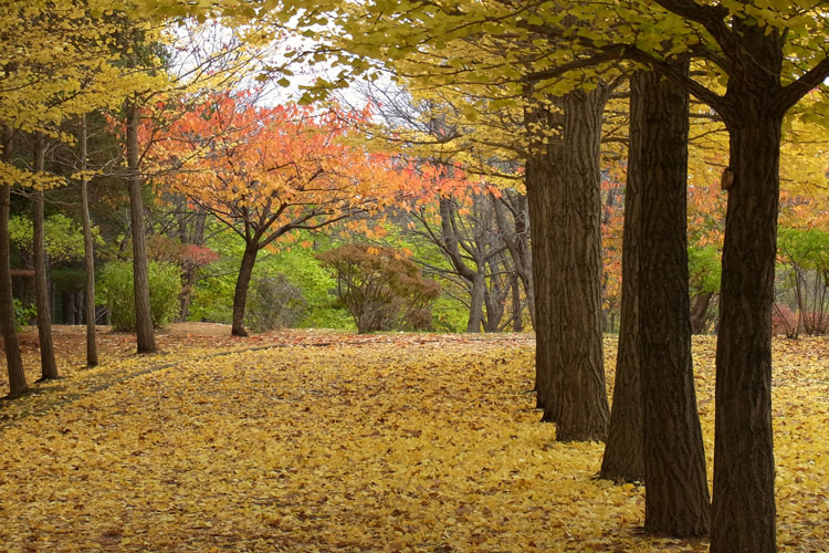 2013秋～西岡公園_f0116528_2045236.jpg