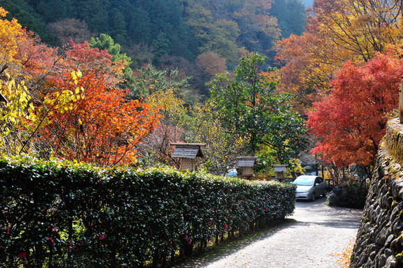 紅葉が盛りです。_a0204730_16144681.jpg