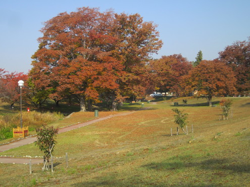 a0291132_1114180.jpg