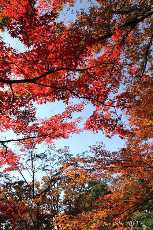 c0240132_622238.jpg