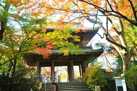 功山寺・毛利邸の紅葉_c0142535_17404977.jpg