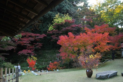 c0142535_1740925.jpg