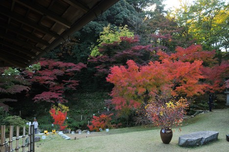 功山寺・毛利邸の紅葉_c0142535_1740925.jpg