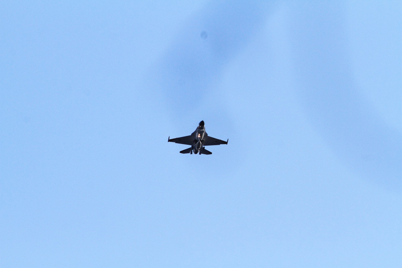 c0172139_8452071.jpg