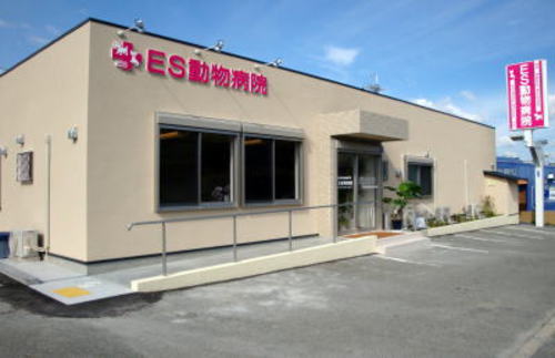 a0286340_032120.jpg